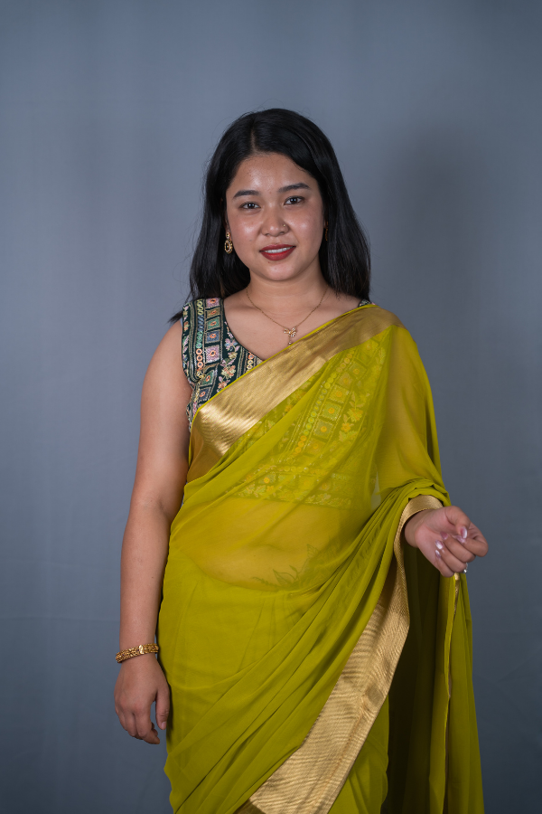 Pure Chiffon with Tissue Border and Ikkat Blouse